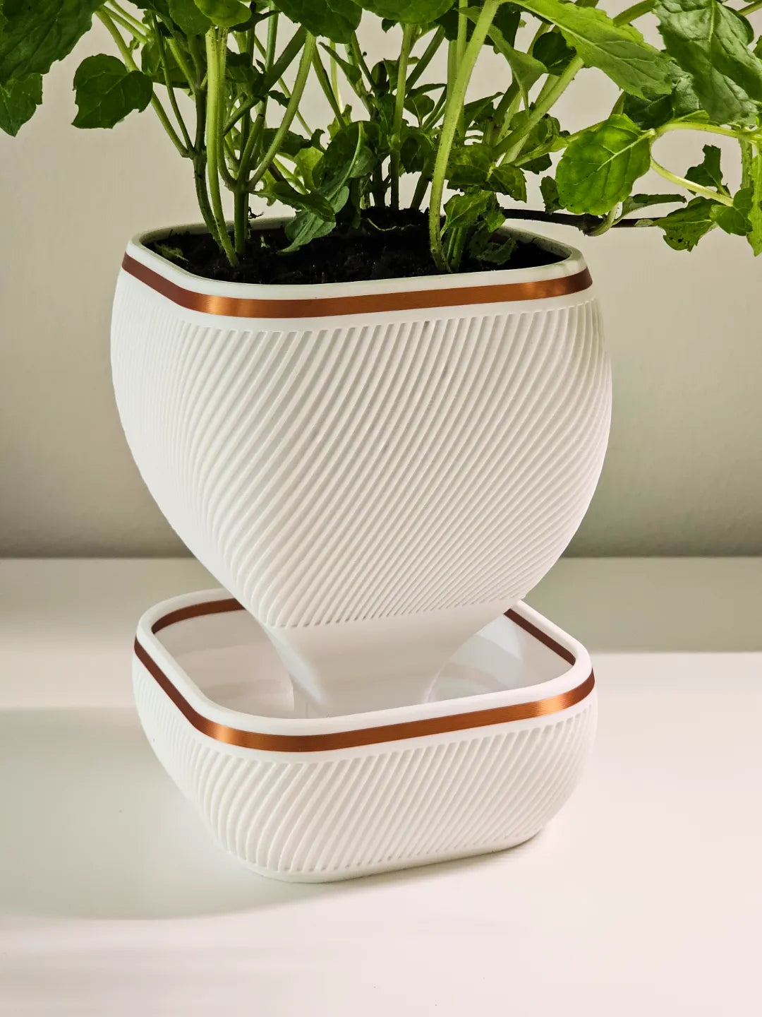 AquaBloom Self-Watering Planter