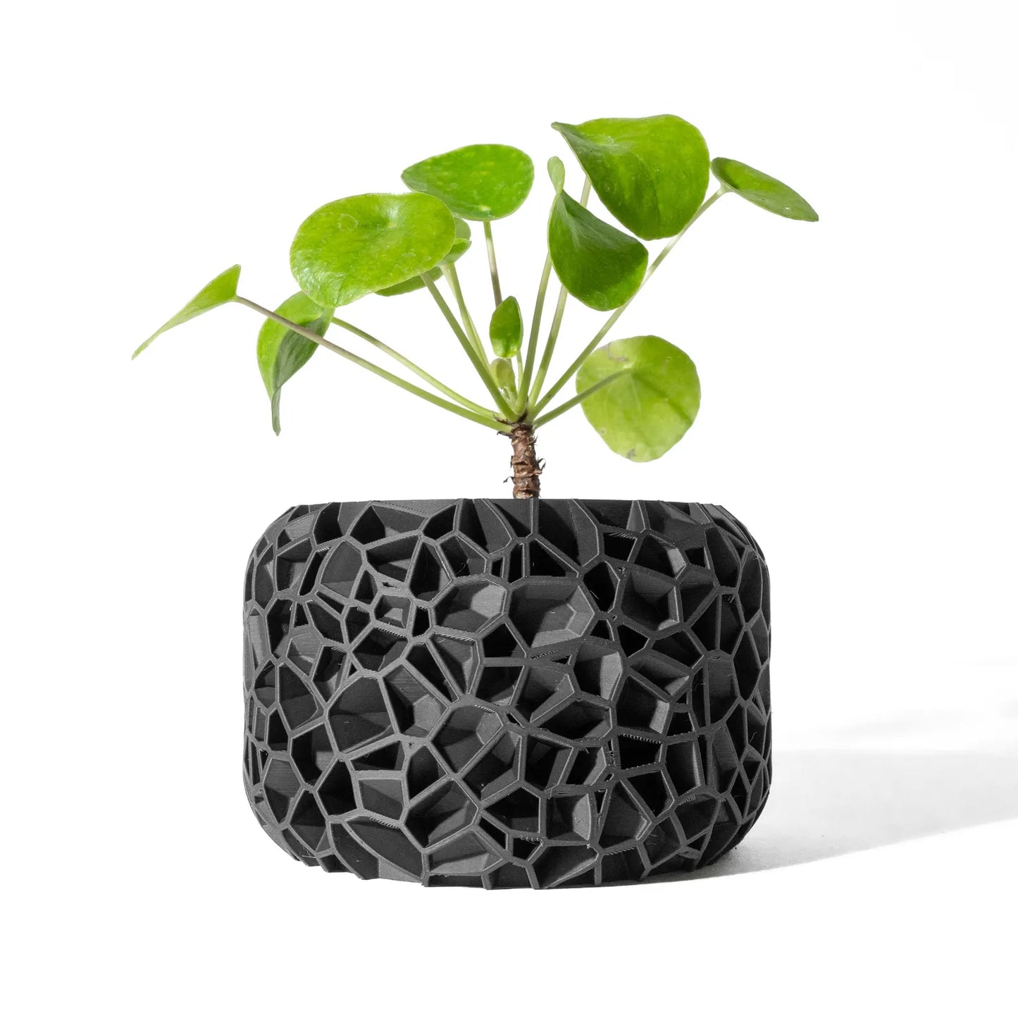 Black Crystal Web Planter 3D-Printed
